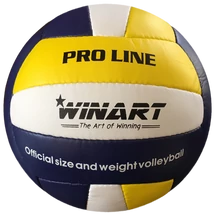 Волейболна топка WINART PRO LINE №5 – S-Sport
