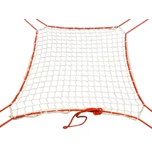 Резервна мрежа VINEX за активна стена