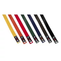 Тренировъчни ръкавици за джудо/карате детски 2/150 EFFEA 565