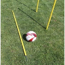 Слалом колче, фиксирано, 160 см, жълто WINART